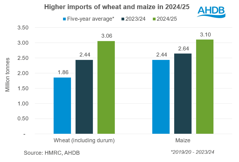 Import chart 15 08 202572.png